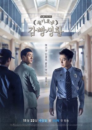دانلود رایگان سریال کره ای دفترچه زندان Prison Playbook 2017