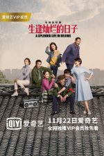 دانلود سریال زندگی پر جنب و جوش در پکن 2017 A Splendid Life in Beijing